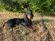 Le vrai cactus's avatar