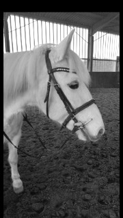 Jadeeee☺️'s avatar