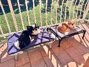 AliceMyaJoy44's avatar