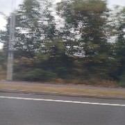 🌺🐾🤍Aria🐬🌊🥥's avatar