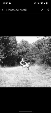 Lilice🌸❤️'s avatar