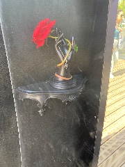 Zélie 🥀's avatar