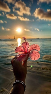 Clean Girl💋💄🎀's avatar