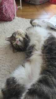 Emelyne 3004😘's avatar