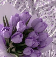 Auroraa_💓's avatar