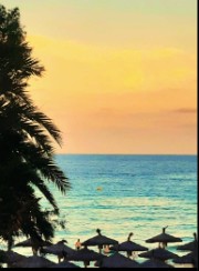 ✿︎シ︎𓆉︎✔︎☏︎❥︎'s avatar