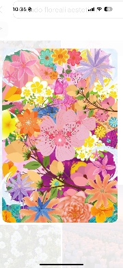 MADDYPUCCI 🌈💖🌸☀️'s avatar