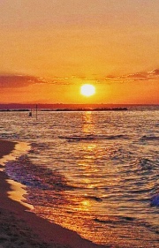 Jenny🫶🏻✨❤️'s avatar