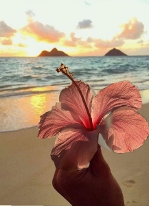 LINOUUUU🌺💝🎀🐚's avatar