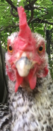 ~I 🩰🩰's avatar