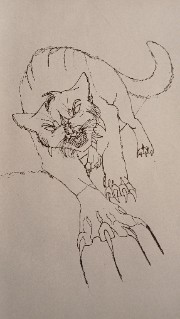 Ahornkralle's avatar