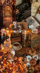 Qui sponsor!🧡's avatar