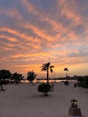 Svevatalana 🧡🦊's avatar