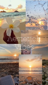 Qui sponsor💛💫🌕👍's avatar