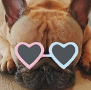 ✨️d!lEMMA's✨️ 's avatar