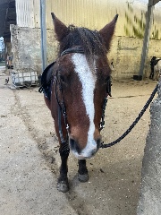 🌸🍡Une Otaku🍡🌸's avatar