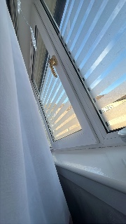 juliasinboxxx's avatar