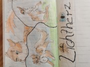 Habichtblut's avatar