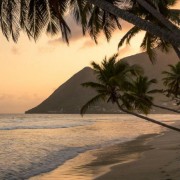 Aliyah 🌼✨️'s avatar