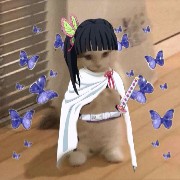 Kakao 🪙🌸's avatar