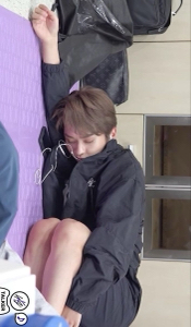 leeknowconiglioselvatico's avatar