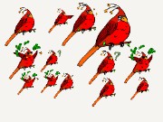 Phoenixfeder 's avatar