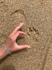 Cacahuète 🥜 's avatar