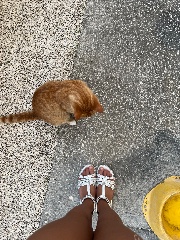 🌷GIO🌷's avatar