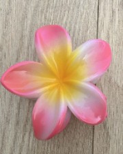 Nono's and Luce's's avatar