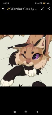 ✨Gepardenstern✨'s avatar