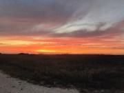 Moi et mes cop's's avatar