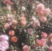 Freaky🫧🎧's avatar