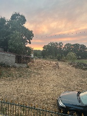 Thelma 💕's avatar