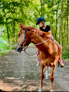 @lisanimaux 's avatar