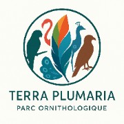  anon-9OkrXOYqO's avatar