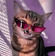 Cookie_cream ✨💎🍪's avatar