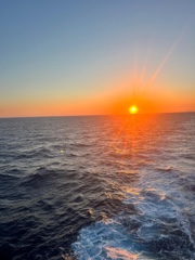 🐆🪩 ~ Lison ~ 🧿🥂's avatar