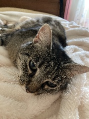 lapetitenaine😇🥰's avatar