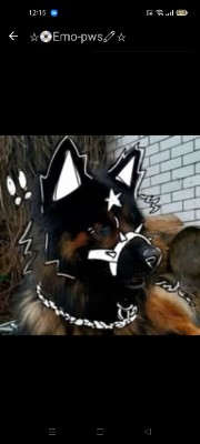 Éclipse Éternelle's avatar