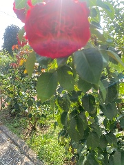 Noe👻🐈‍⬛🐾🧸's avatar