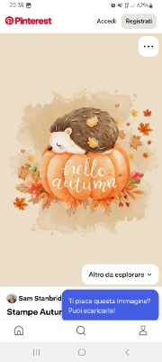 🎀Pinterest Vibe🎀's avatar