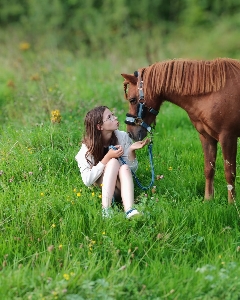 pomy&linoushe's avatar