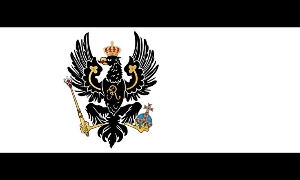 αꬶa︩tᥙsჩꪎ 's avatar