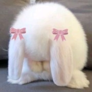 AnineGirls🤙's avatar