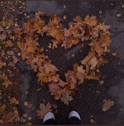 ✨🍂Blue_rose🍂✨'s avatar