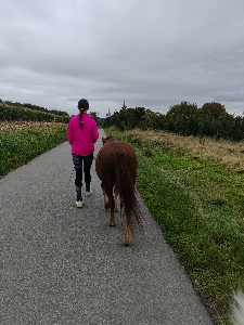 Pomy&linoushe 's avatar