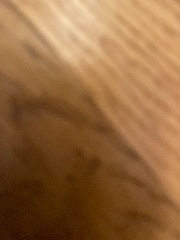 Hogwarts is my home 's avatar