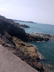 💎💎💎💎's avatar