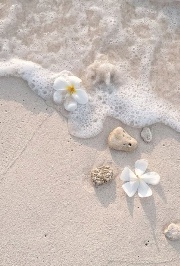 𝑬𝒍𝒐𝒅𝒊𝒆 ྀིྀི 💗's avatar