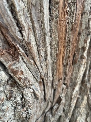 Meme pas peur's avatar